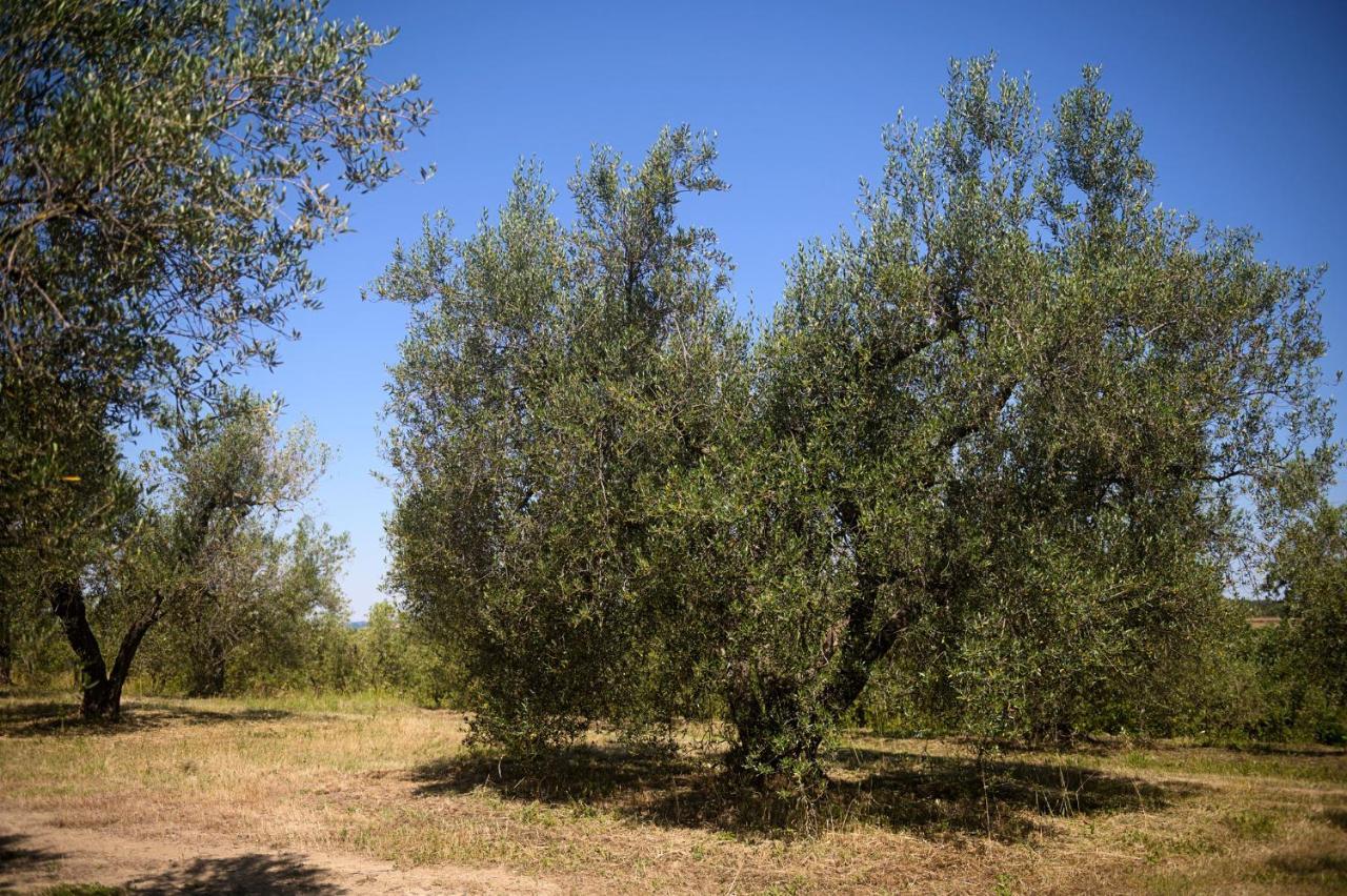 Farnese B&B Vallecupa المظهر الخارجي الصورة
