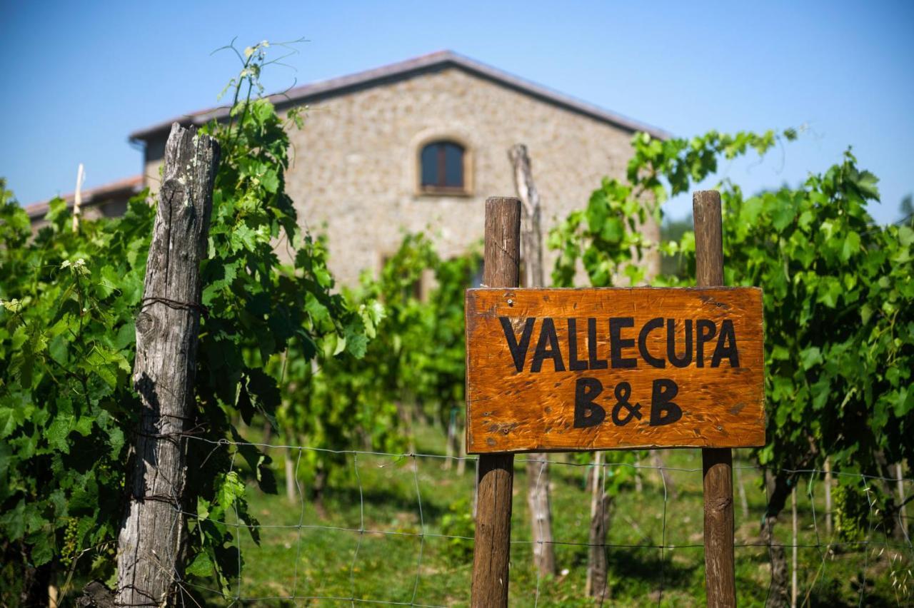 Farnese B&B Vallecupa المظهر الخارجي الصورة