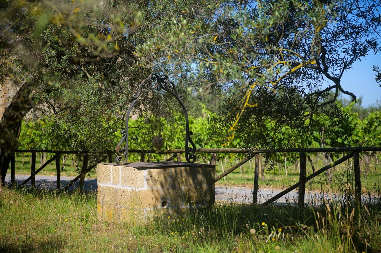 Farnese B&B Vallecupa المظهر الخارجي الصورة