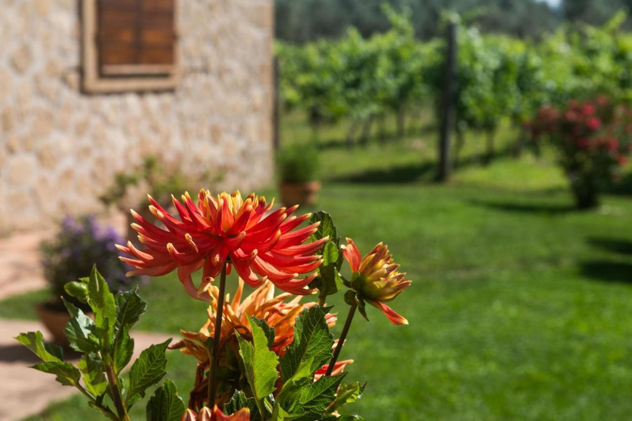 Farnese B&B Vallecupa المظهر الخارجي الصورة