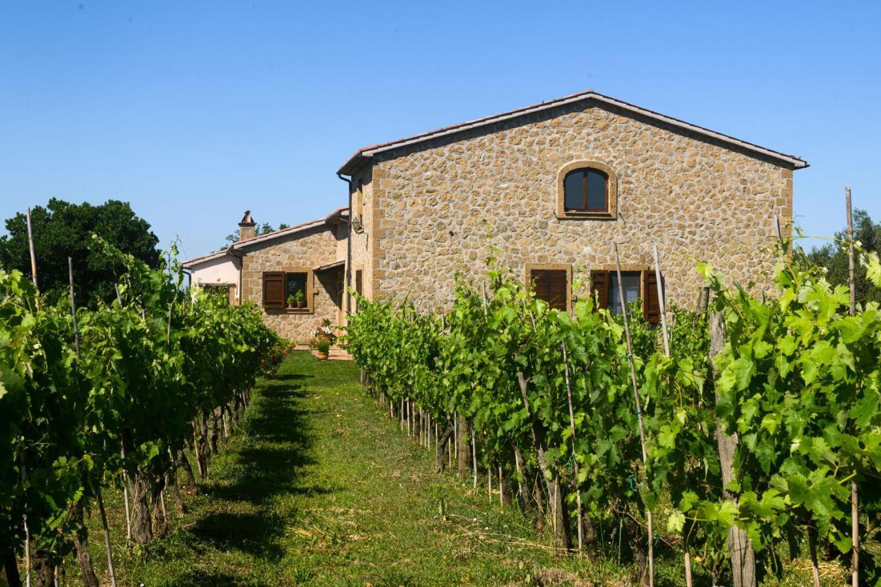 Farnese B&B Vallecupa المظهر الخارجي الصورة