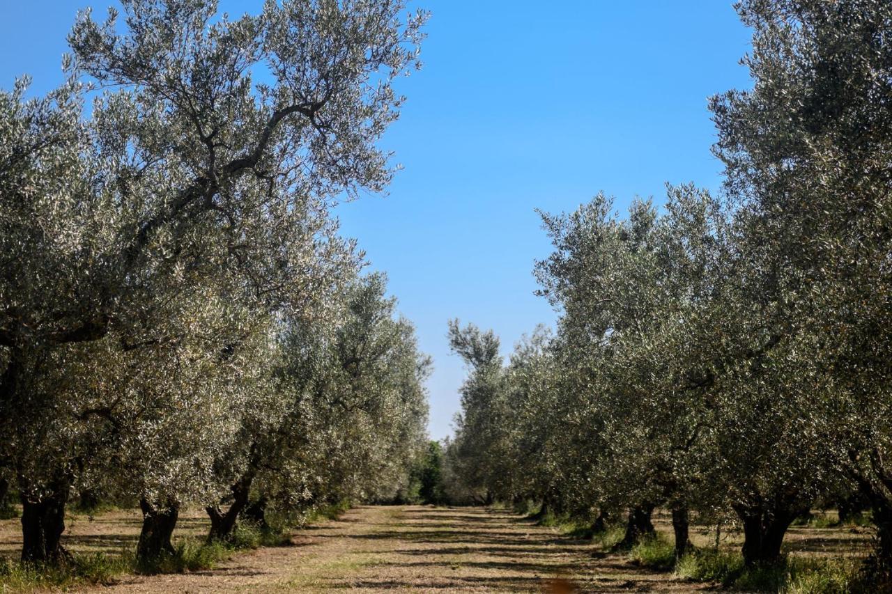Farnese B&B Vallecupa المظهر الخارجي الصورة